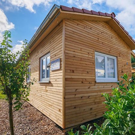 Tiny-Ferienhaeusle Casa Wendy Villa Loßburg Kültér fotó