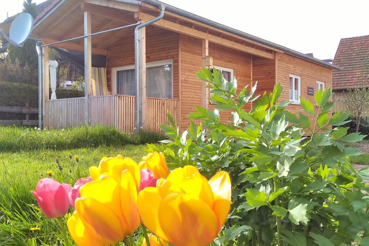 Tiny-Ferienhaeusle Casa Wendy Villa Loßburg Kültér fotó