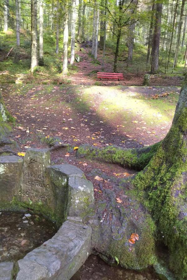 Tiny-Ferienhaeusle Casa Wendy Villa Loßburg Kültér fotó